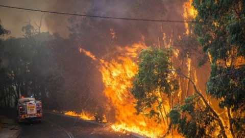 Supreme Court determines Western Power not at fault for Parkerville bushfire