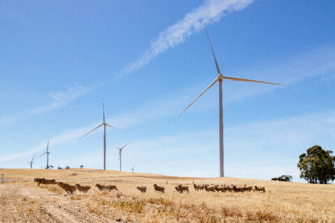 VIC’s Bulgana Green Power Hub switches on