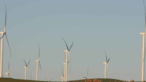 Willogoleche 119MW wind farm officially opens
