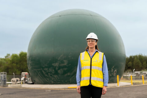 Taking biomethane from pipe dream to pipeline