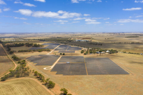 Mannum Solar Farm Stage 2 expansion underway