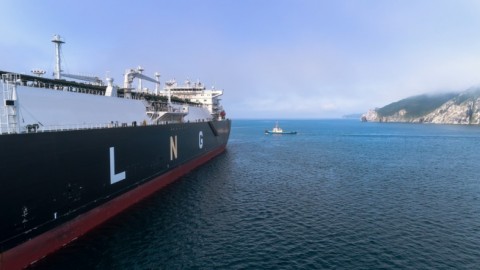 Report: LNG exports holding strong despite virus impact