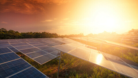 Australia’s largest solar farm reaches major milestone