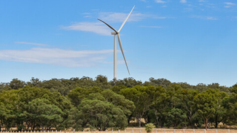CEC: New report shows Australia behind in renewables adoption
