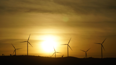 Milestone for Lincoln Gap Wind Farm, despite uncertainty
