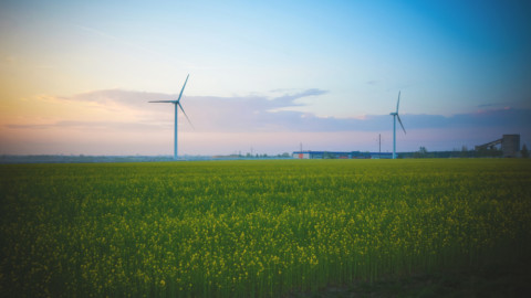$79M Yandin wind farm contract awarded