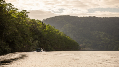 Daintree microgrid feasibility study delivered