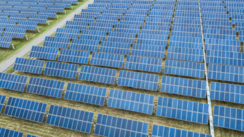 New England Solar Farm construction underway