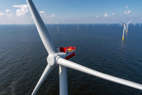 AGL in consortium for offshore wind development project