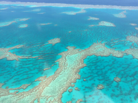 UNESCO reports Great Barrier Reef still in danger
