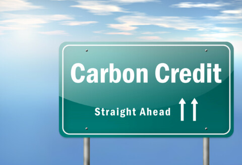 Interview: Speculative capital offers growth opportunity for carbon market – AirCarbon