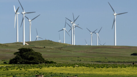 VIC explores renewable energy contract platform
