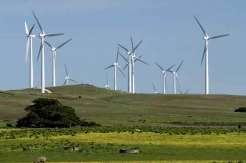 Berrybank Wind Farm officially launches