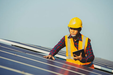 Training workers for net zero transition