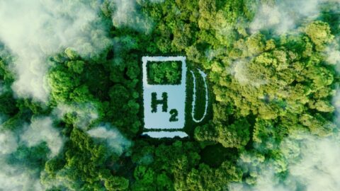 Hydrogen’s future is green