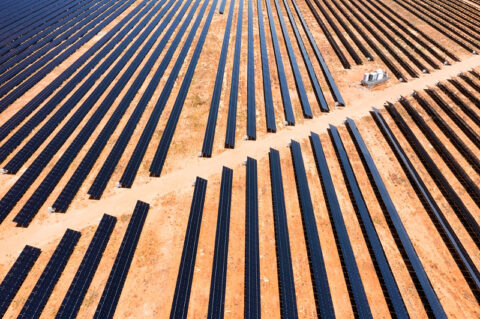 200MW Blue Grass solar farm launches in QLD