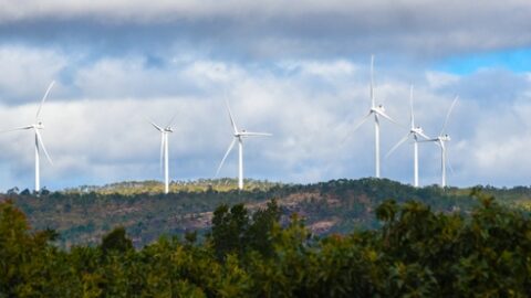 QLD review of Wind Farm Code for development