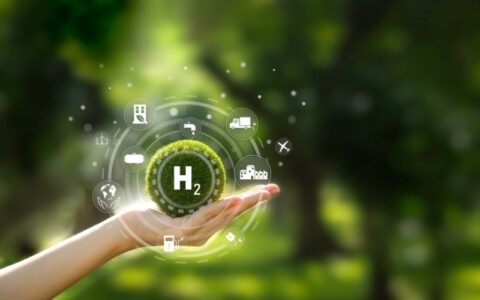 Hydrogen Council releases review on National Hydrogen Strategy