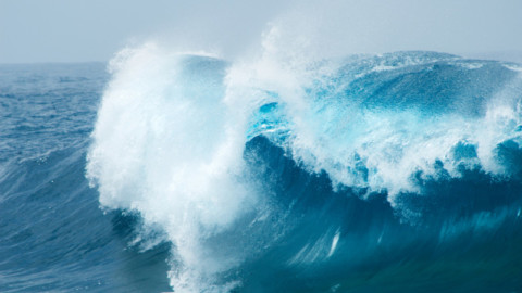 Wave energy gets $2 million support