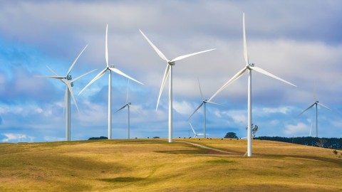 ALDI signs decade-long PPA for wind farm output