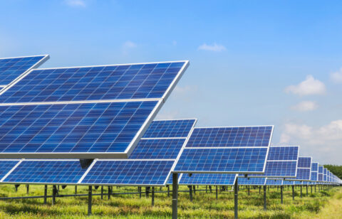 Glenrowan Solar Farm begins construction