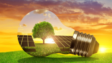 SA calls for renewable energy projects