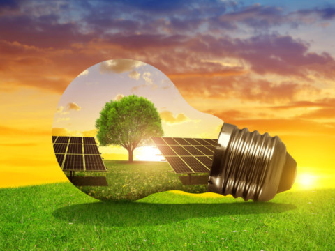 SA calls for renewable energy projects