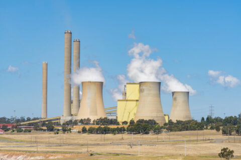Capacity mechanism to pay fossil fuel generators to support NEM