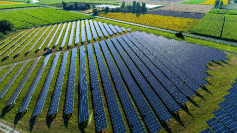 $14 million for innovative scale solar array