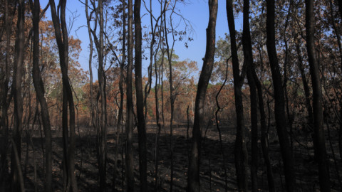 Australia’s bushfire crisis