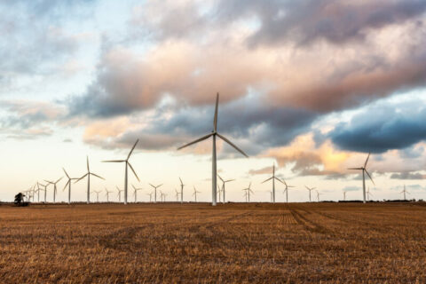 Reforming access frameworks for renewables investment