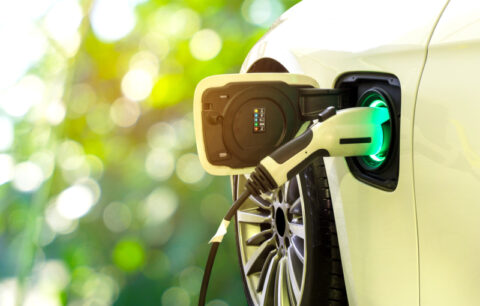 Fuel Efficiency Standard drives National Electric Vehicle Strategy