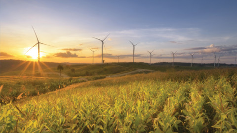 Granville Harbour Wind Farm hits new milestone