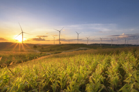 QLD’s Boulder Creek Wind Farm gets the go-ahead