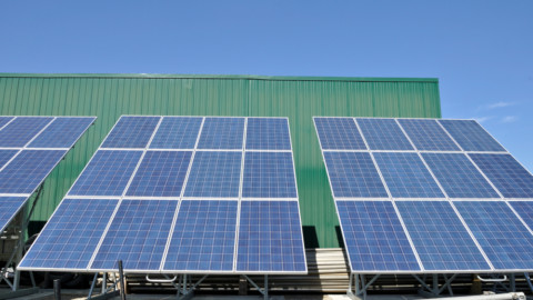 Energy giant wins bid to build solar farm in QLD  