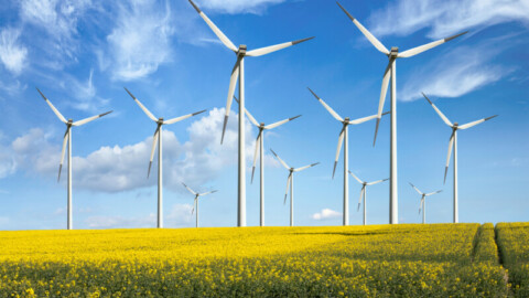 WA’s biggest wind farm open for business