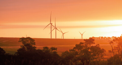 Winds of change: geotechnical innovation in wind farm construction