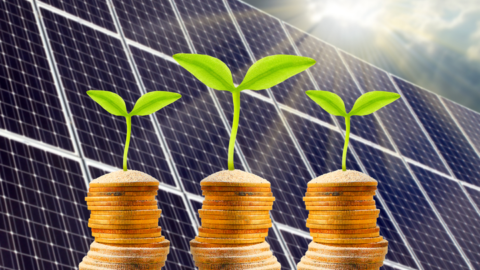 Budget signals new investment in renewables