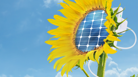 Stakeholder input sought for solar integration